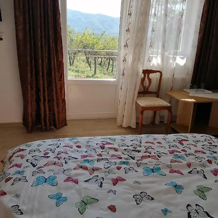 Casa Tonyza