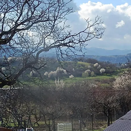Casa Tonyza